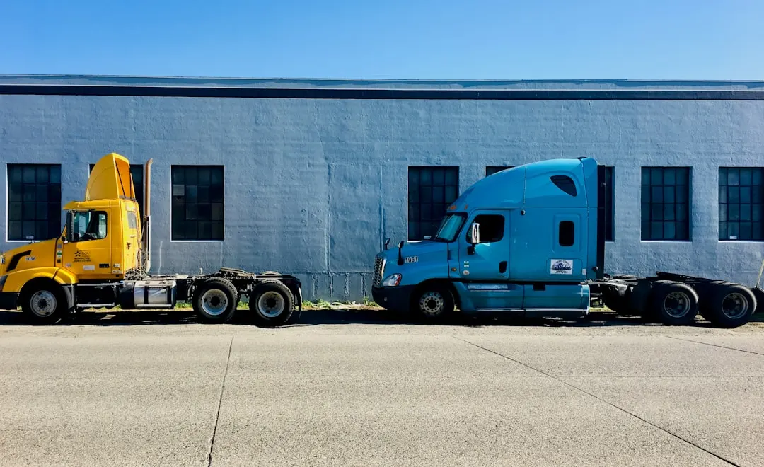 2025休闲运动鞋流行趋势与年轻消费群体需求分析
